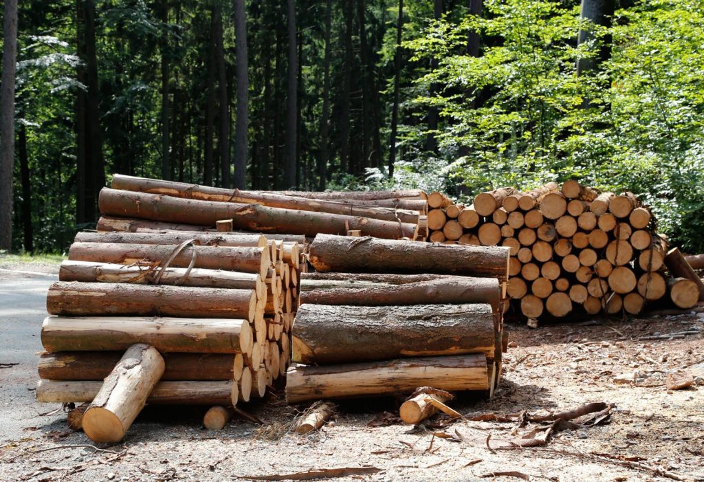 Bardage en bois scierie Haxaire